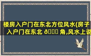 楼房入户门在东北方位风水(房子入户门在东北 🐞 角,风水上说好不好)